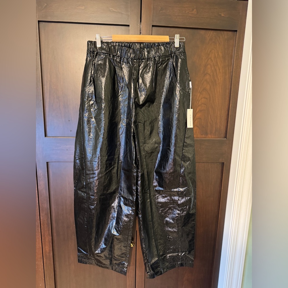 Le Bon Shoppe Liquid Nylon Arc Pants
